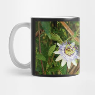 Bluecrown Passiflora Mug